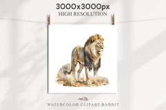 African Lion Safari Animals Clipart Wild Cats Savanna PNG Image Watercolor  Transparent Print for invitation t-shirt designs sublimation kids printable digital watercolor African Lion, Safari Animals clipart, sublimation nursery drawing, Savanna baby lion