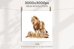 African Lion Safari Animals Clipart Wild Cats Savanna PNG Image Watercolor  Transparent Print for invitation t-shirt designs sublimation kids printable digital watercolor African Lion, Safari Animals clipart, sublimation nursery drawing, Savanna baby lion