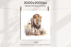African Lion Safari Animals Clipart Wild Cats Savanna PNG Image Watercolor  Transparent Print for invitation t-shirt designs sublimation kids printable digital watercolor African Lion, Safari Animals clipart, sublimation nursery drawing, Savanna baby lion