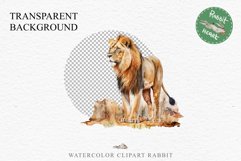 African Lion Safari Animals Clipart Wild Cats Savanna PNG Image Watercolor  Transparent Print for invitation t-shirt designs sublimation kids printable digital watercolor African Lion, Safari Animals clipart, sublimation nursery drawing, Savanna baby lion