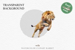 African Lion Safari Animals Clipart Wild Cats Savanna PNG Image Watercolor  Transparent Print for invitation t-shirt designs sublimation kids printable digital watercolor African Lion, Safari Animals clipart, sublimation nursery drawing, Savanna baby lion