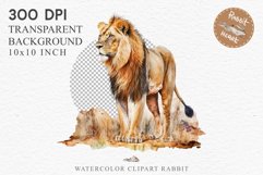 watercolor African Lion, Safari Animals clipart, sublimation nursery drawing, Savanna baby lions cat