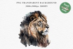 African Lion Safari Animals Clipart Wild Cats Savanna PNG Image Watercolor  Transparent Print for invitation t-shirt designs sublimation kids printable digital watercolor African Lion, Safari Animals clipart, sublimation nursery drawing, Savanna baby lion