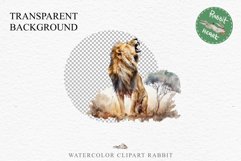 African Lion Safari Animals Clipart Wild Cats Savanna PNG Image Watercolor  Transparent Print for invitation t-shirt designs sublimation kids printable digital watercolor African Lion, Safari Animals clipart, sublimation nursery drawing, Savanna baby lion