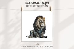 African Lion Safari Animals Clipart Wild Cats Savanna PNG Image Watercolor  Transparent Print for invitation t-shirt designs sublimation kids printable digital watercolor African Lion, Safari Animals clipart, sublimation nursery drawing, Savanna baby lion