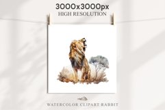 African Lion Safari Animals Clipart Wild Cats Savanna PNG Image Watercolor  Transparent Print for invitation t-shirt designs sublimation kids printable digital watercolor African Lion, Safari Animals clipart, sublimation nursery drawing, Savanna baby lion