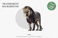 African Lion Safari Animals Clipart Wild Cats Savanna PNG Image Watercolor  Transparent Print for invitation t-shirt designs sublimation kids printable digital watercolor African Lion, Safari Animals clipart, sublimation nursery drawing, Savanna baby lion