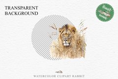 African Lion Safari Animals Clipart Wild Cats Savanna PNG Image Watercolor  Transparent Print for invitation t-shirt designs sublimation kids printable digital watercolor African Lion, Safari Animals clipart, sublimation nursery drawing, Savanna baby lion