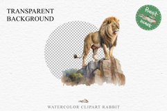 African Lion Safari Animals Clipart Wild Cats Savanna PNG Image Watercolor  Transparent Print for invitation t-shirt designs sublimation kids printable digital watercolor African Lion, Safari Animals clipart, sublimation nursery drawing, Savanna baby lion