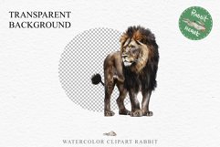 African Lion Safari Animals Clipart Wild Cats Savanna PNG Image Watercolor  Transparent Print for invitation t-shirt designs sublimation kids printable digital watercolor African Lion, Safari Animals clipart, sublimation nursery drawing, Savanna baby lion