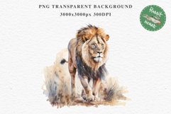 African Lion Safari Animals Clipart Wild Cats Savanna PNG Image Watercolor  Transparent Print for invitation t-shirt designs sublimation kids printable digital watercolor African Lion, Safari Animals clipart, sublimation nursery drawing, Savanna baby lion