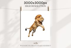 African Lion Safari Animals Clipart Wild Cats Savanna PNG Image Watercolor  Transparent Print for invitation t-shirt designs sublimation kids printable digital watercolor African Lion, Safari Animals clipart, sublimation nursery drawing, Savanna baby lion