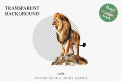 African Lion Safari Animals Clipart Wild Cats Savanna PNG Image Watercolor  Transparent Print for invitation t-shirt designs sublimation kids printable digital watercolor African Lion, Safari Animals clipart, sublimation nursery drawing, Savanna baby lion