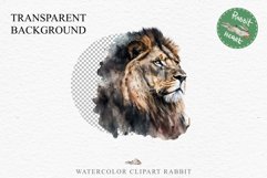 African Lion Safari Animals Clipart Wild Cats Savanna PNG Image Watercolor  Transparent Print for invitation t-shirt designs sublimation kids printable digital watercolor African Lion, Safari Animals clipart, sublimation nursery drawing, Savanna baby lion