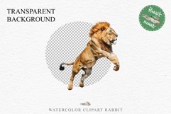 African Lion Safari Animals Clipart Wild Cats Savanna PNG Image Watercolor  Transparent Print for invitation t-shirt designs sublimation kids printable digital watercolor African Lion, Safari Animals clipart, sublimation nursery drawing, Savanna baby lion