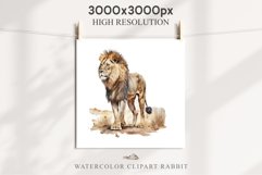 African Lion Safari Animals Clipart Wild Cats Savanna PNG Image Watercolor  Transparent Print for invitation t-shirt designs sublimation kids printable digital watercolor African Lion, Safari Animals clipart, sublimation nursery drawing, Savanna baby lion