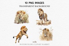 watercolor African Lion, Safari Animals clipart, sublimation nursery drawing, Savanna baby lions cat
