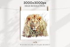 African Lion Safari Animals Clipart Wild Cats Savanna PNG Image Watercolor  Transparent Print for invitation t-shirt designs sublimation kids printable digital