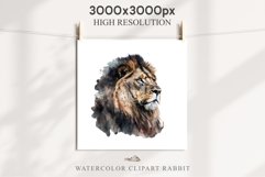 African Lion Safari Animals Clipart Wild Cats Savanna PNG Image Watercolor  Transparent Print for invitation t-shirt designs sublimation kids printable digital watercolor African Lion, Safari Animals clipart, sublimation nursery drawing, Savanna baby lion