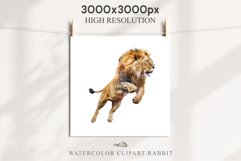 African Lion Safari Animals Clipart Wild Cats Savanna PNG Image Watercolor  Transparent Print for invitation t-shirt designs sublimation kids printable digital watercolor African Lion, Safari Animals clipart, sublimation nursery drawing, Savanna baby lion