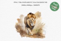 African Lion Safari Animals Clipart Wild Cats Savanna PNG Image Watercolor  Transparent Print for invitation t-shirt designs sublimation kids printable digital watercolor African Lion, Safari Animals clipart, sublimation nursery drawing, Savanna baby lion