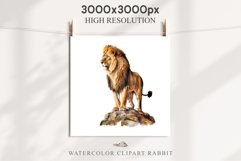 African Lion Safari Animals Clipart Wild Cats Savanna PNG Image Watercolor  Transparent Print for invitation t-shirt designs sublimation kids printable digital watercolor African Lion, Safari Animals clipart, sublimation nursery drawing, Savanna baby lion