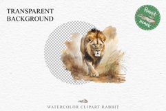 African Lion Safari Animals Clipart Wild Cats Savanna PNG Image Watercolor  Transparent Print for invitation t-shirt designs sublimation kids printable digital watercolor African Lion, Safari Animals clipart, sublimation nursery drawing, Savanna baby lion