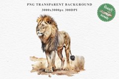 African Lion Safari Animals Clipart Wild Cats Savanna PNG Image Watercolor  Transparent Print for invitation t-shirt designs sublimation kids printable digital watercolor African Lion, Safari Animals clipart, sublimation nursery drawing, Savanna baby lion