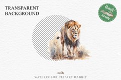 African Lion Safari Animals Clipart Wild Cats Savanna PNG Image Watercolor  Transparent Print for invitation t-shirt designs sublimation kids printable digital watercolor African Lion, Safari Animals clipart, sublimation nursery drawing, Savanna baby lion