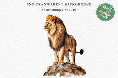 African Lion Safari Animals Clipart Wild Cats Savanna PNG Image Watercolor  Transparent Print for invitation t-shirt designs sublimation kids printable digital watercolor African Lion, Safari Animals clipart, sublimation nursery drawing, Savanna baby lion