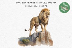 African Lion Safari Animals Clipart Wild Cats Savanna PNG Image Watercolor  Transparent Print for invitation t-shirt designs sublimation kids printable digital watercolor African Lion, Safari Animals clipart, sublimation nursery drawing, Savanna baby lion
