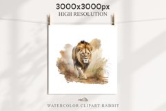 African Lion Safari Animals Clipart Wild Cats Savanna PNG Image Watercolor  Transparent Print for invitation t-shirt designs sublimation kids printable digital watercolor African Lion, Safari Animals clipart, sublimation nursery drawing, Savanna baby lion