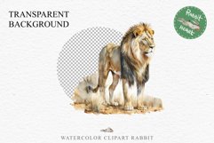 African Lion Safari Animals Clipart Wild Cats Savanna PNG Image Watercolor  Transparent Print for invitation t-shirt designs sublimation kids printable digital watercolor African Lion, Safari Animals clipart, sublimation nursery drawing, Savanna baby lion