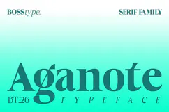 Aganote Typeface| 91 Style Font Product Image 1