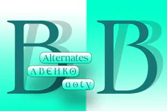 Aganote Typeface| 91 Style Font Product Image 6