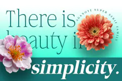 Aganote Typeface| 91 Style Font Product Image 7