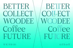 Aganote Typeface| 91 Style Font Product Image 8