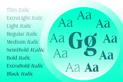 Aganote Typeface| 91 Style Font Product Image 2
