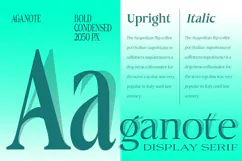 Aganote Typeface| 91 Style Font Product Image 3