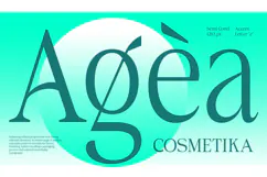 Aganote Typeface| 91 Style Font Product Image 4