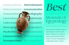 Aganote Typeface| 91 Style Font Product Image 5