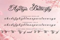 Agetya Butterfly Product Image 8