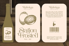 Agiantie - Tall Serif Display Font Product Image 7