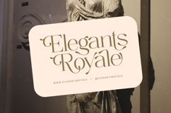 Agiantie - Tall Serif Display Font Product Image 14