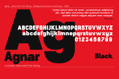 Agnar - Sans serif font family Product Image 4