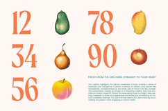 Agnofy Rusting Bold Tall Serif Display Product Image 4