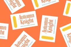 Agnofy Rusting Bold Tall Serif Display Product Image 16