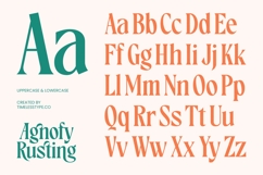 Agnofy Rusting Bold Tall Serif Display Product Image 17