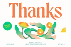 Agnofy Rusting Bold Tall Serif Display Product Image 20