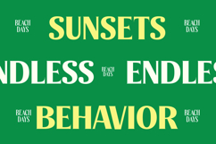 Agorey Dalling - Groovy Serif Display Product Image 9